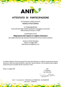 Migrazione del vapore